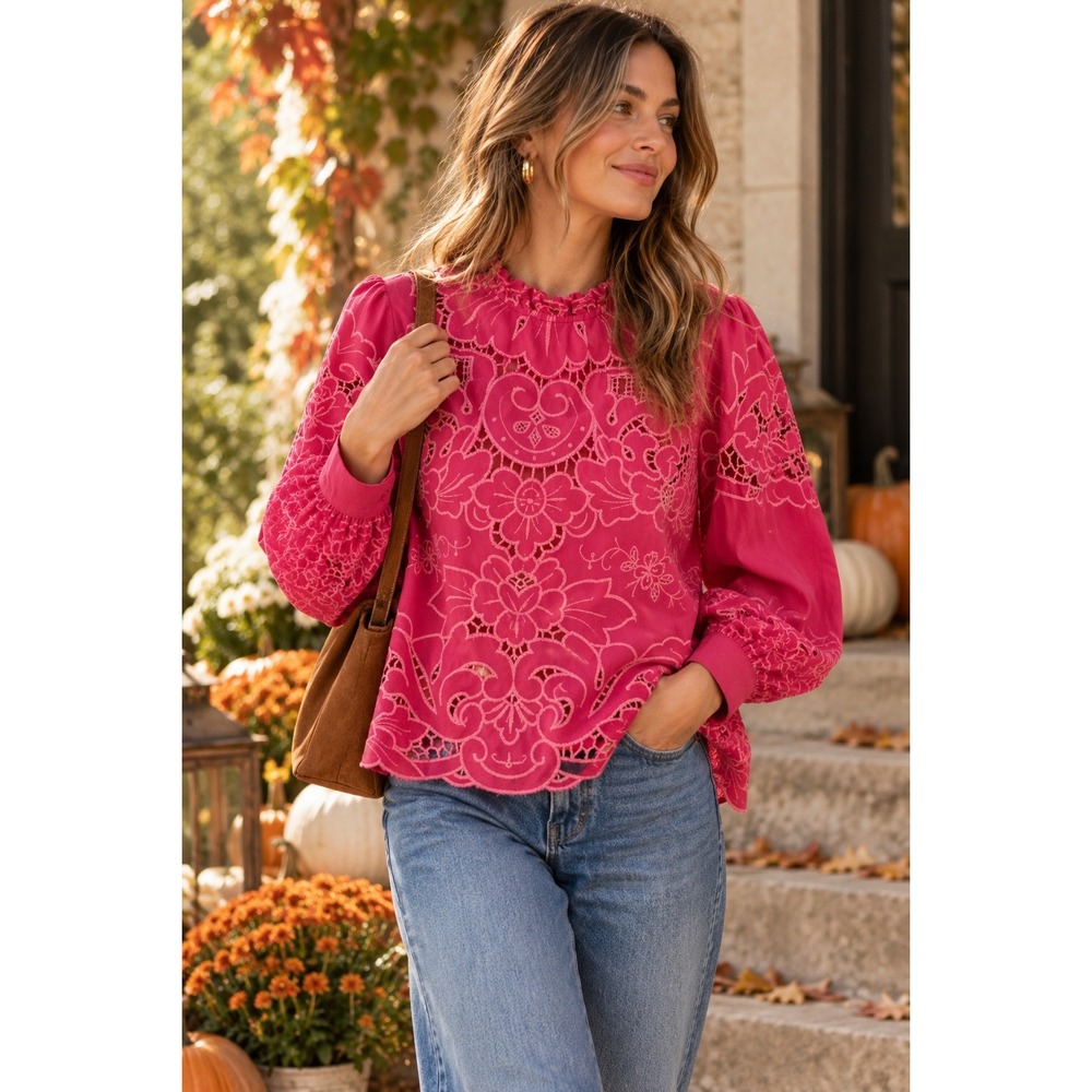 Anthropologie Lainie Long Sleeve Lace Cutout Embroidered Blouse Pink Size 1X